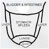 TCM Looking exam:  examining the tongue 