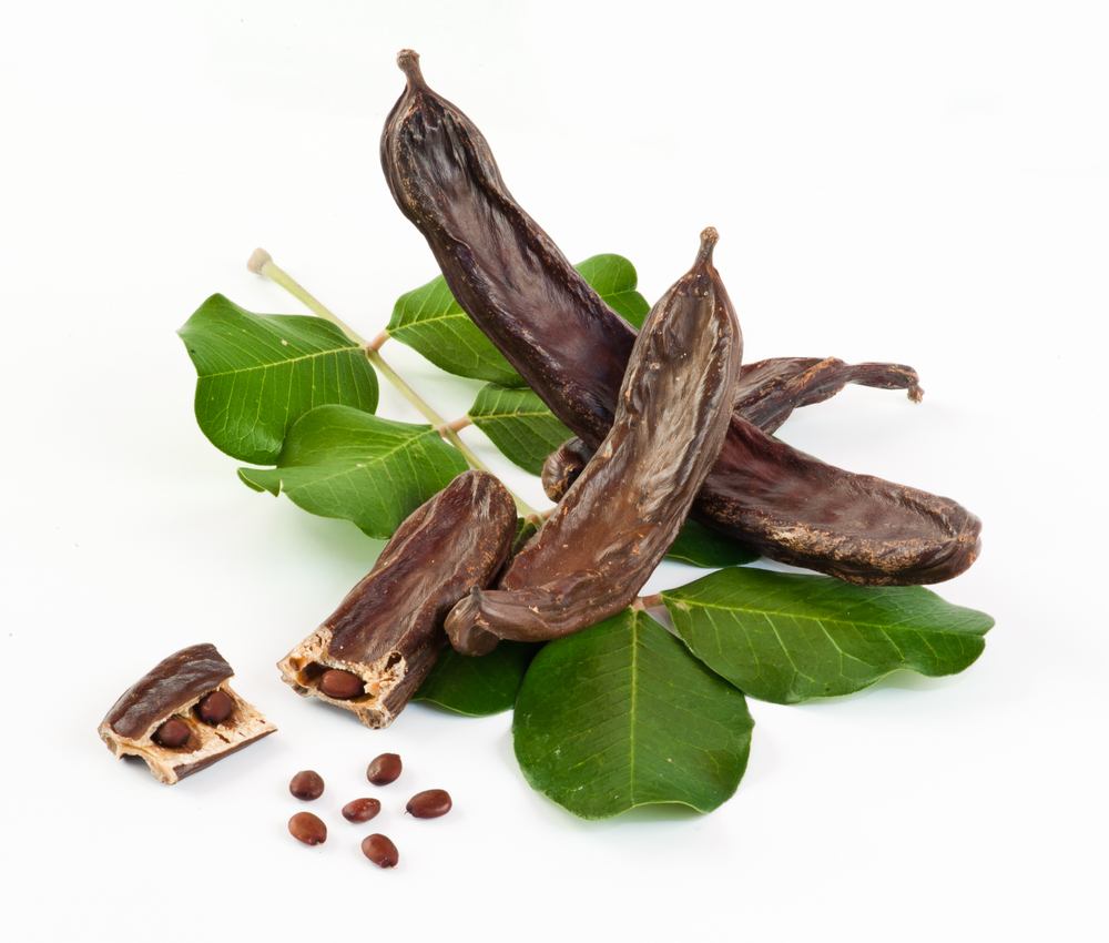 are carob pods safe for dogs