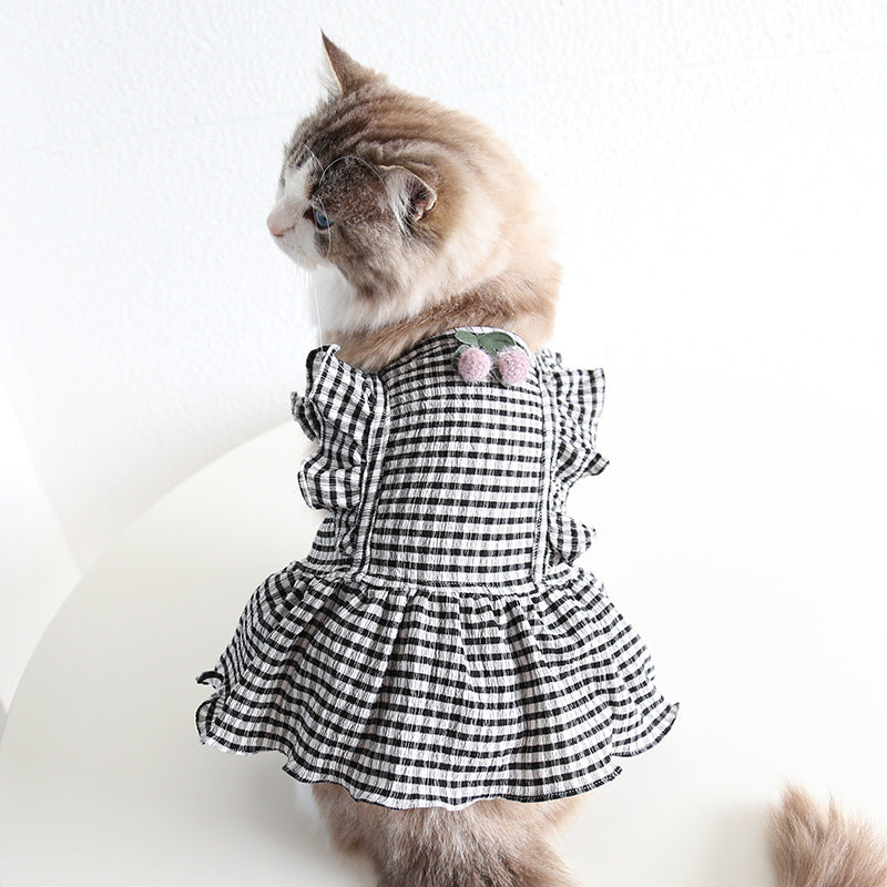 cat dress pet