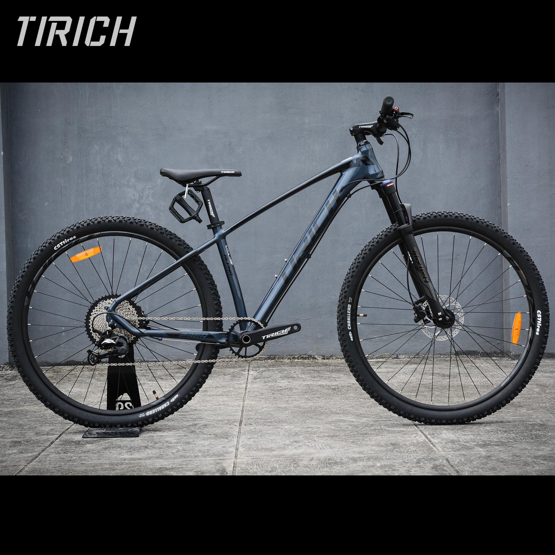 Tirich Alpha Mountain Bike 29er 13-Speed MTB - Gloss Gray – Bikes