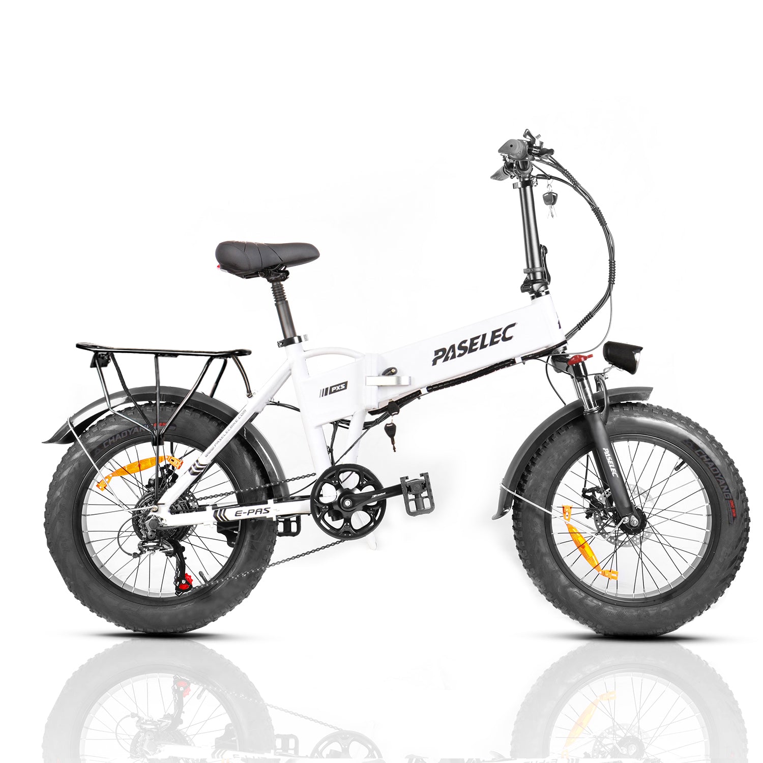 paselec ebike