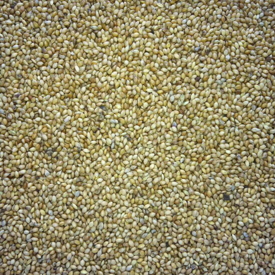 millet for finches