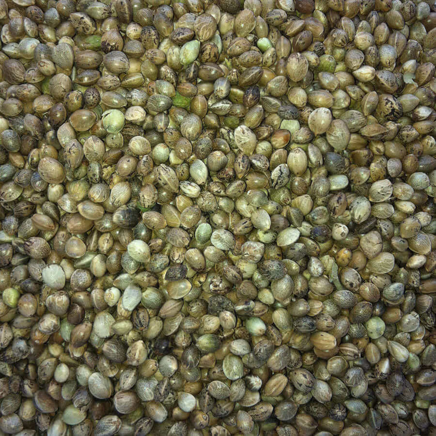 hemp seed bird food