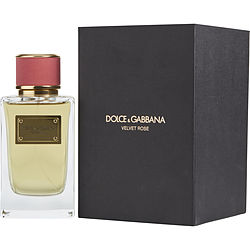 velvet rose dolce gabbana