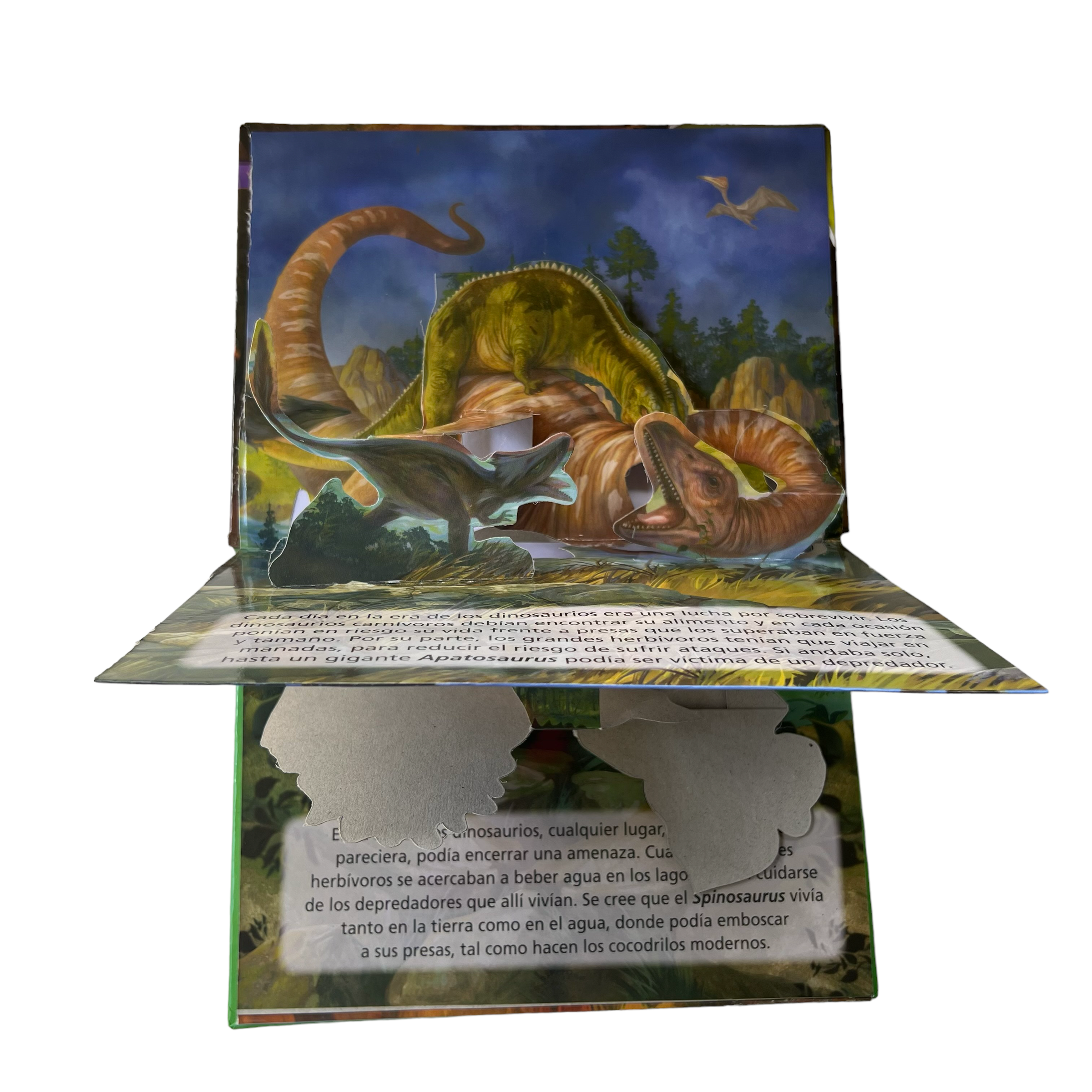 Libro Dinosaurios POP-UP 3D – IMAGIQ