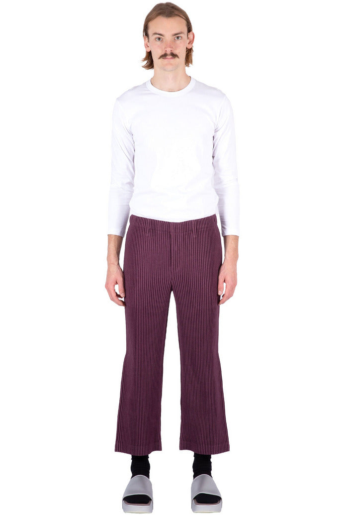 Kersey Pleats Pants in Purple