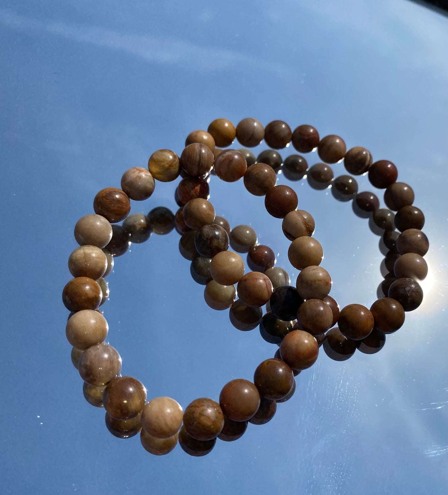 Chunky Petrified Wood Bracelet