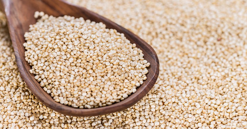 are ancient grains good for dogs