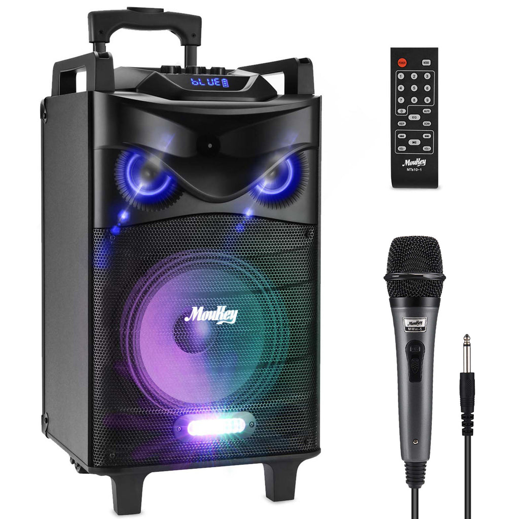 portable karaoke speaker