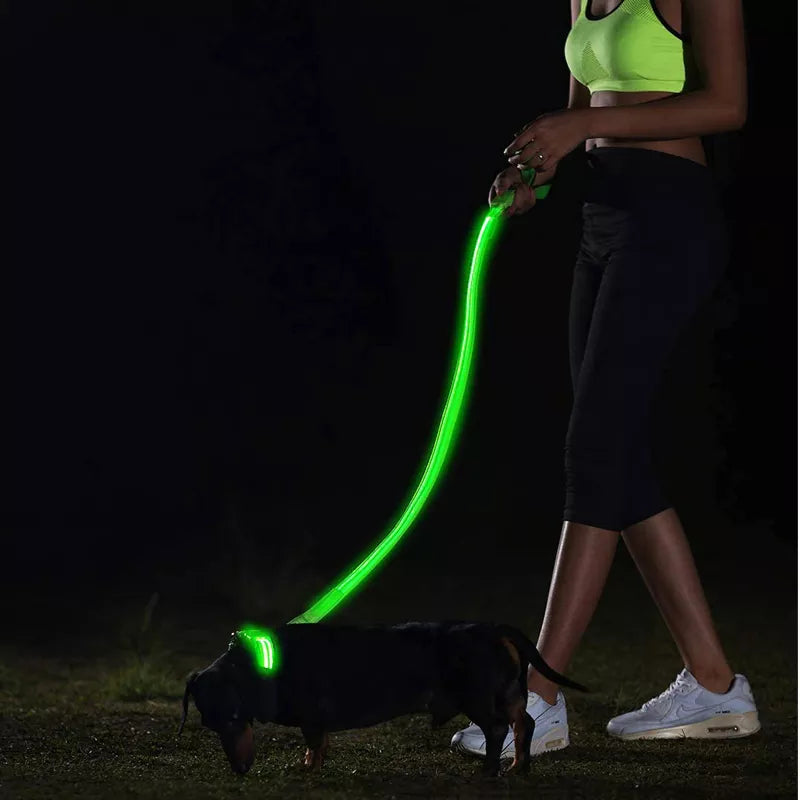 LED Pet LEASH Dog (include usb charger)