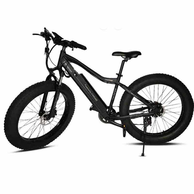 thunder electric folding mountain bike