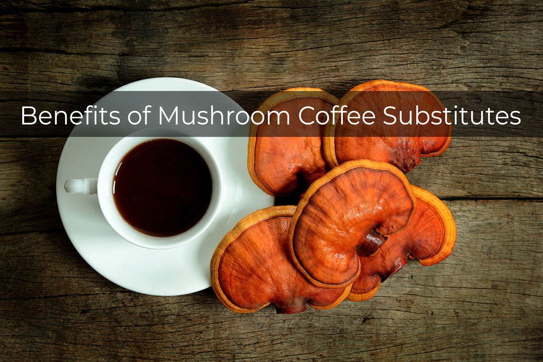 benefits-of-mushroom-coffee-alternative-