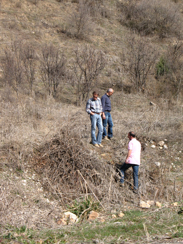 Alberto, Zorik & viticulturist Stefano Bartolomei tramping around for wild vines