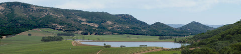 Foss Valley: Napa's Valley Above the Fog