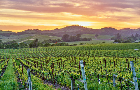 Wine Regions Of California - Napa Vally