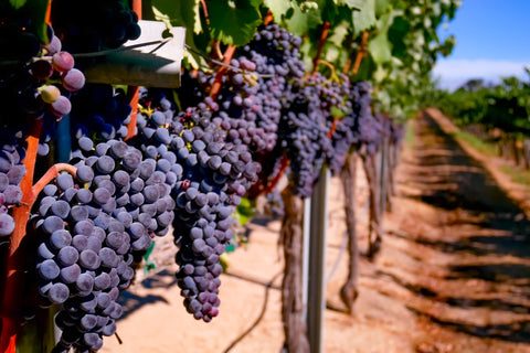Wine Regions Of California - Paso Robles