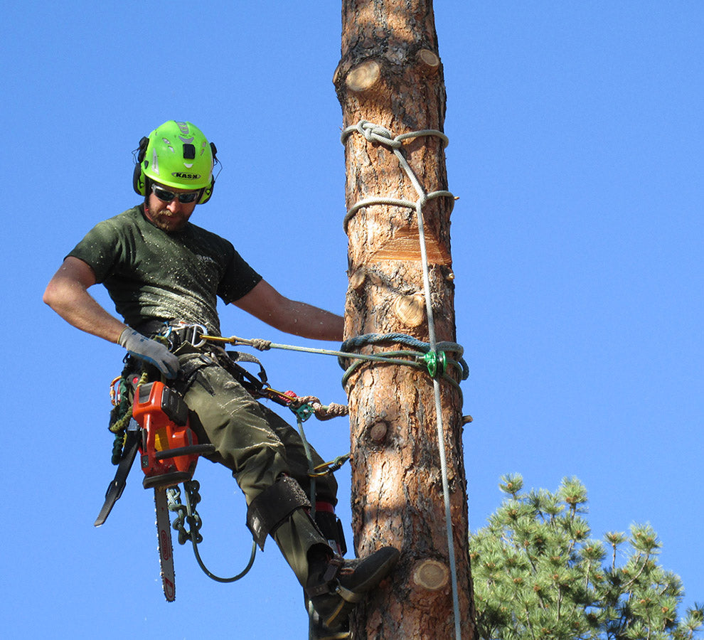 Tree Climbing Gear CSP Forestry