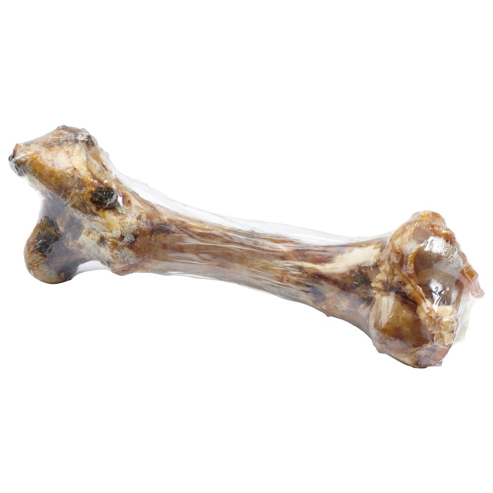 are femur bones bad for dogs