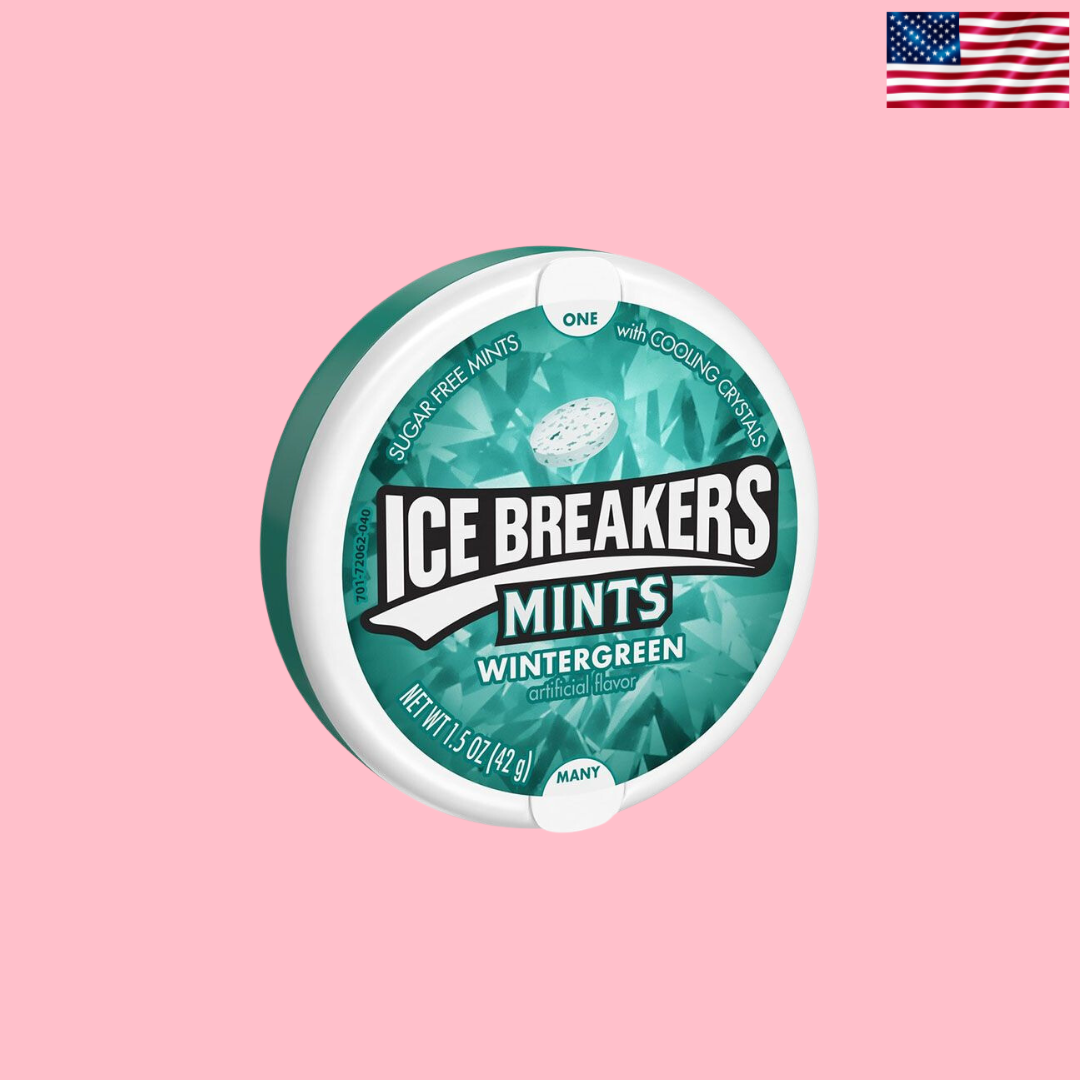 USA Ice Breakers Mints Wintergreen 42g