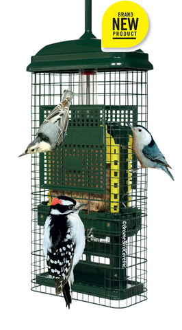 squirrel-buster-suet-feeder