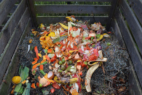 compost-heap