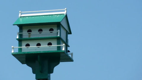 purple-martin-house