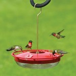 saucer-hummingbird-feeder