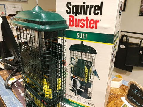 squirrel-buster-suet-bird-feeder