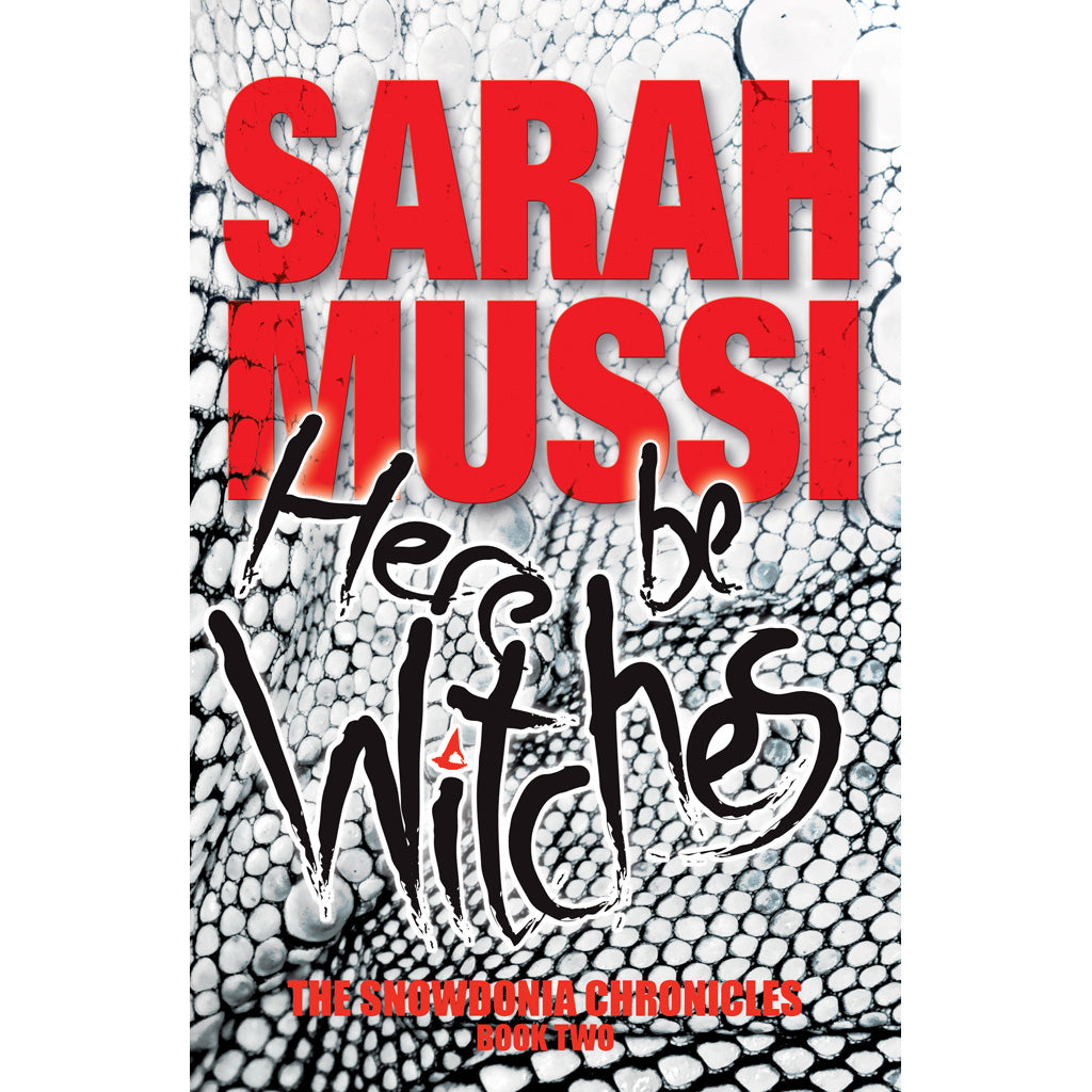 Here-be-Witches-Sarah-Mussi-9781911342328_2000x.jpg?v=1655383894