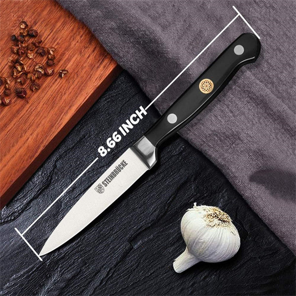 Steinbrücke Paring Knife 4 inch - Small Kitchen Knife Forged from German Stainless Steel 5Cr15Mov (HRC58), Full Tang, Sharp Paring Knife