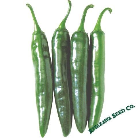 Awesome Chinese HJ 1 Space Chili Corona Mild Pepper Seeds-R 094 25