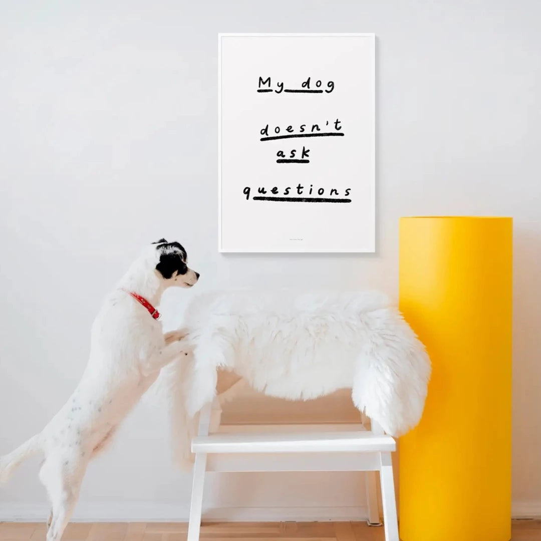 a picture of a black and white dog perched on a white chair and the print is hanging above the chair and says my dog doesn't ask questions in black letters and is underlined in black