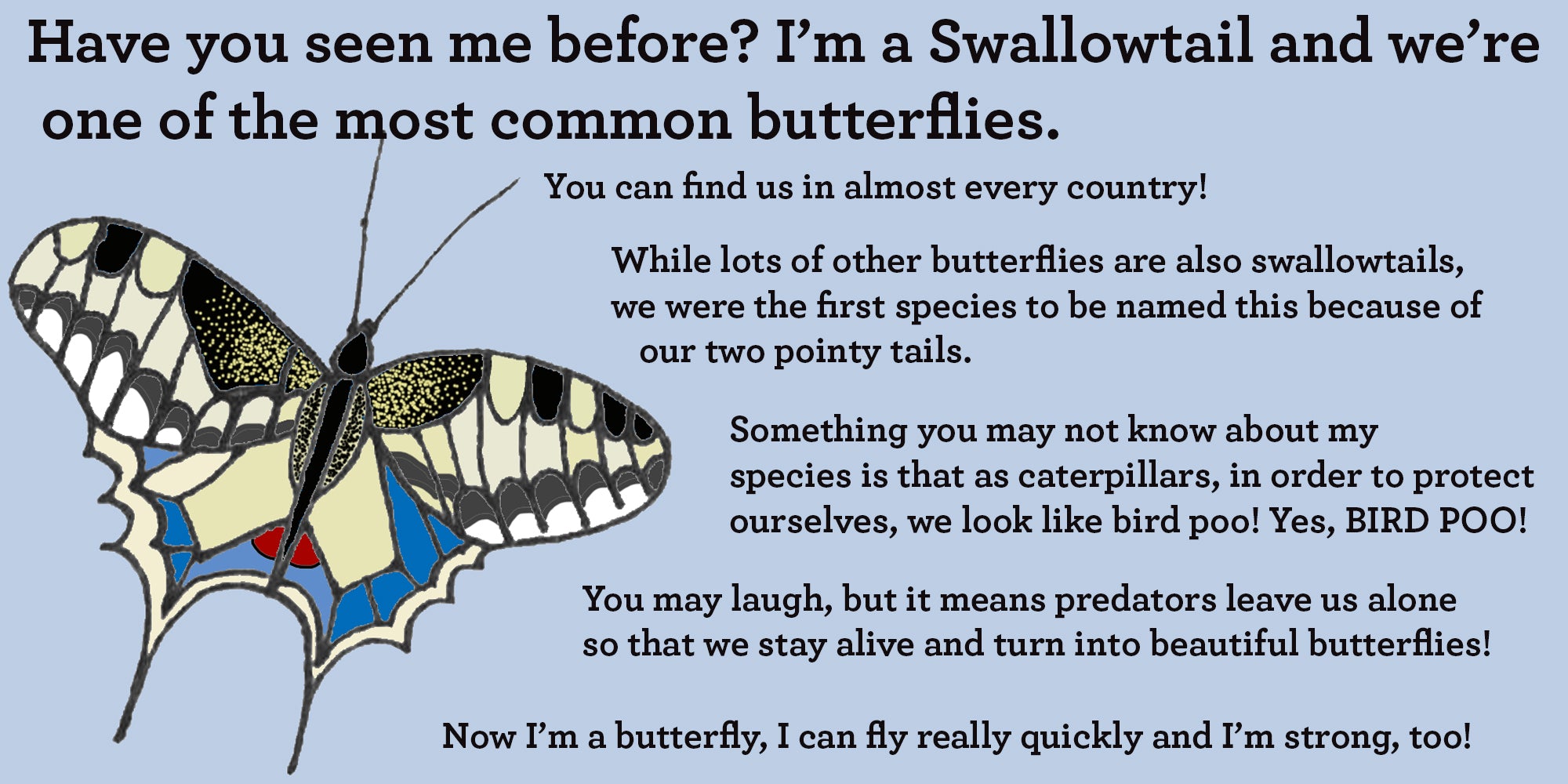 swallowtail butterfly facts