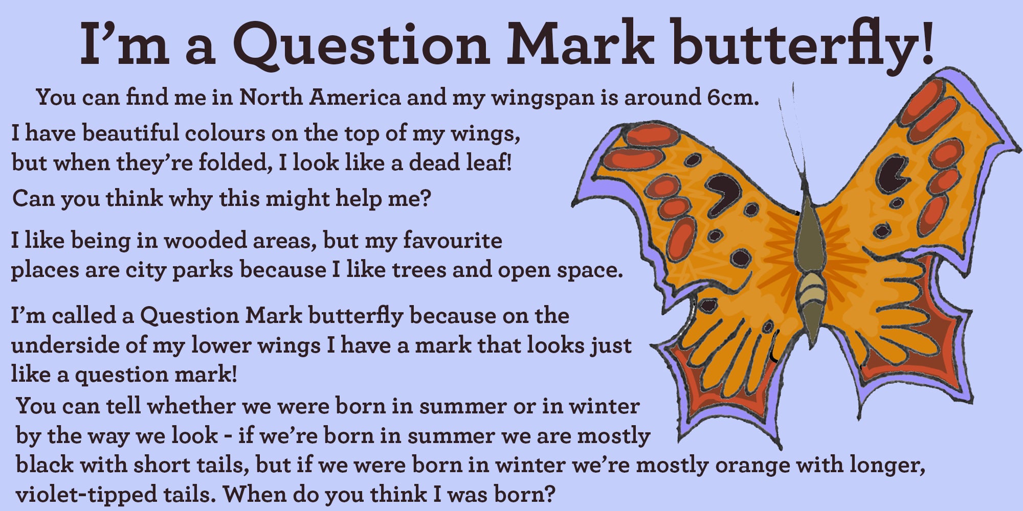 question mark butterfly facts