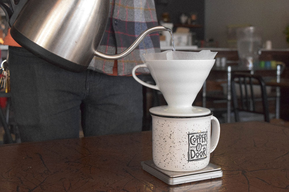 hario v60 brewing guide