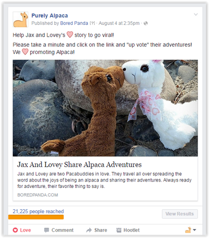 Purely Alpaca on Facebook Bored Panda