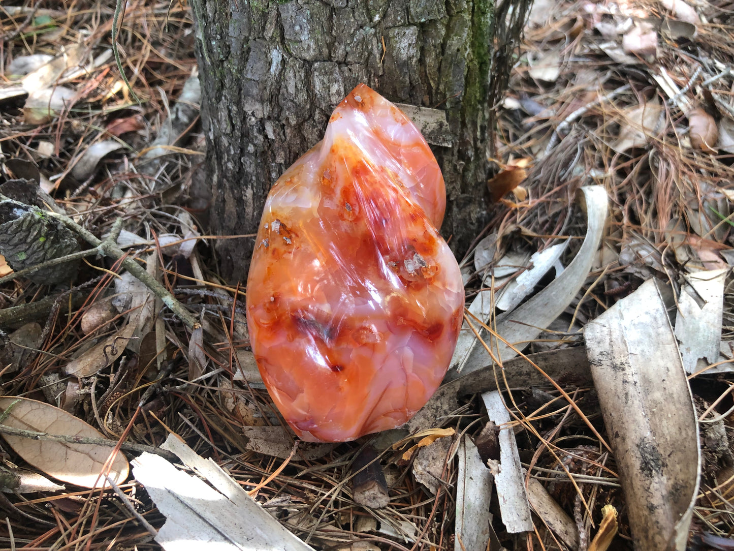 Carnelian Flame