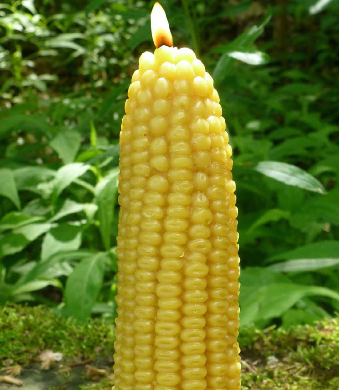 Corncob 100% Beeswax Candle Corn Pillar
