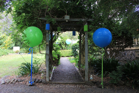 Balloon 3ft Helium filled + weight
