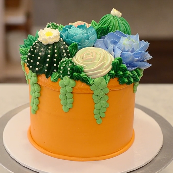 Collection 3 Buttercream Succulent Cakes White Flower 