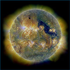 Venus Triple UV