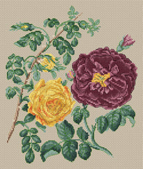 Floragenius Cross Stitch Kits - Yellow Centifolia Rose & Purple Rose by Stark