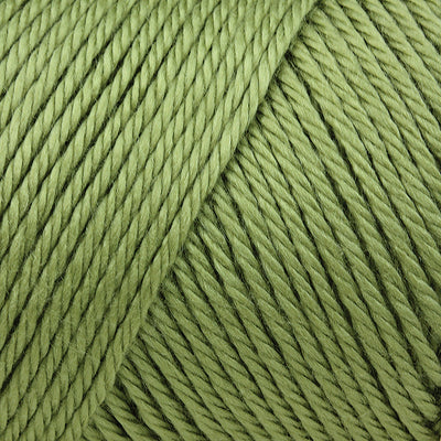 Caron Simply Soft Aran Knitting Yarn 170g - Solids