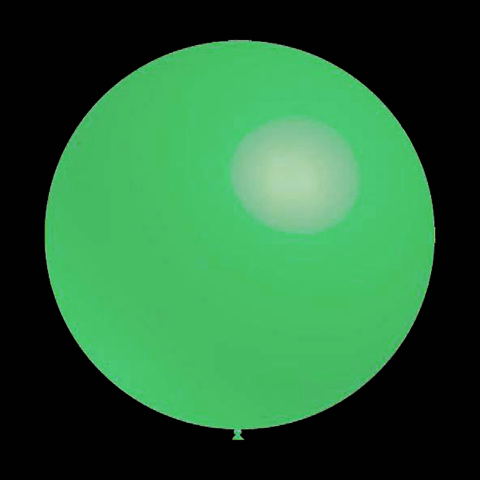 Geven constante menigte Mintgroene ballonnen - Rond - 30cm (50 stuks) - Bestel Direct – krijghonger