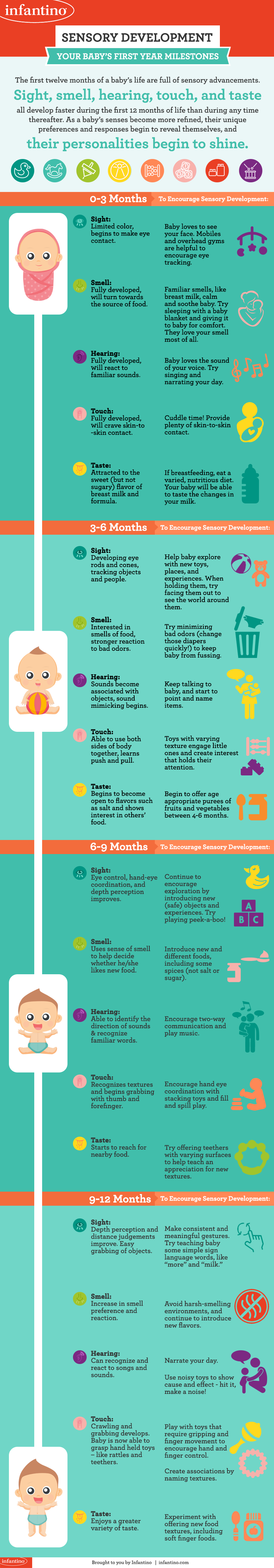 Sensory Development - Your Baby’s First Year Milestones [Infographic]