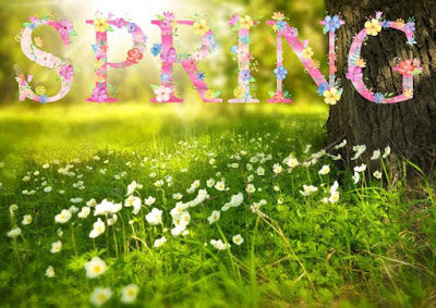 Spring It On! Spring scene illustration with flowers at the foot of a tree
