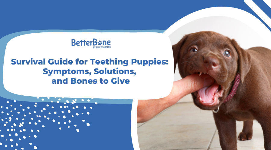 are ice cubes good for teething puppies