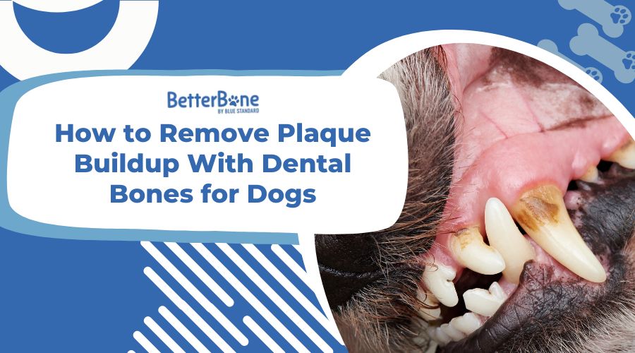 how to get rid of plaque on dogs