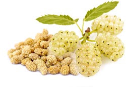 mulberries