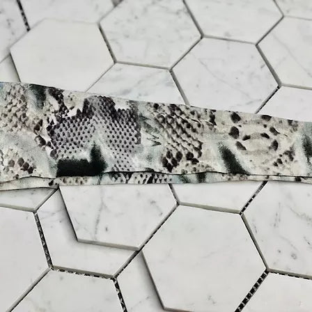 Snakebite